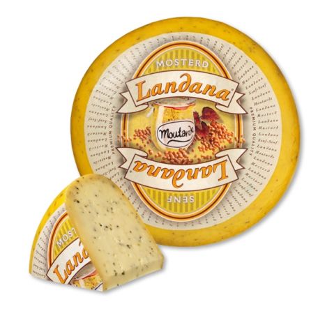 Holland mustáros gouda sajt 4kg